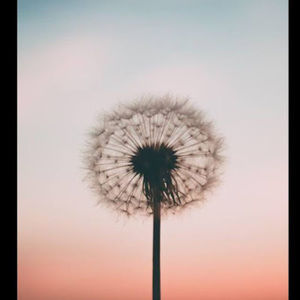 Meet your Posher, Nicoletta